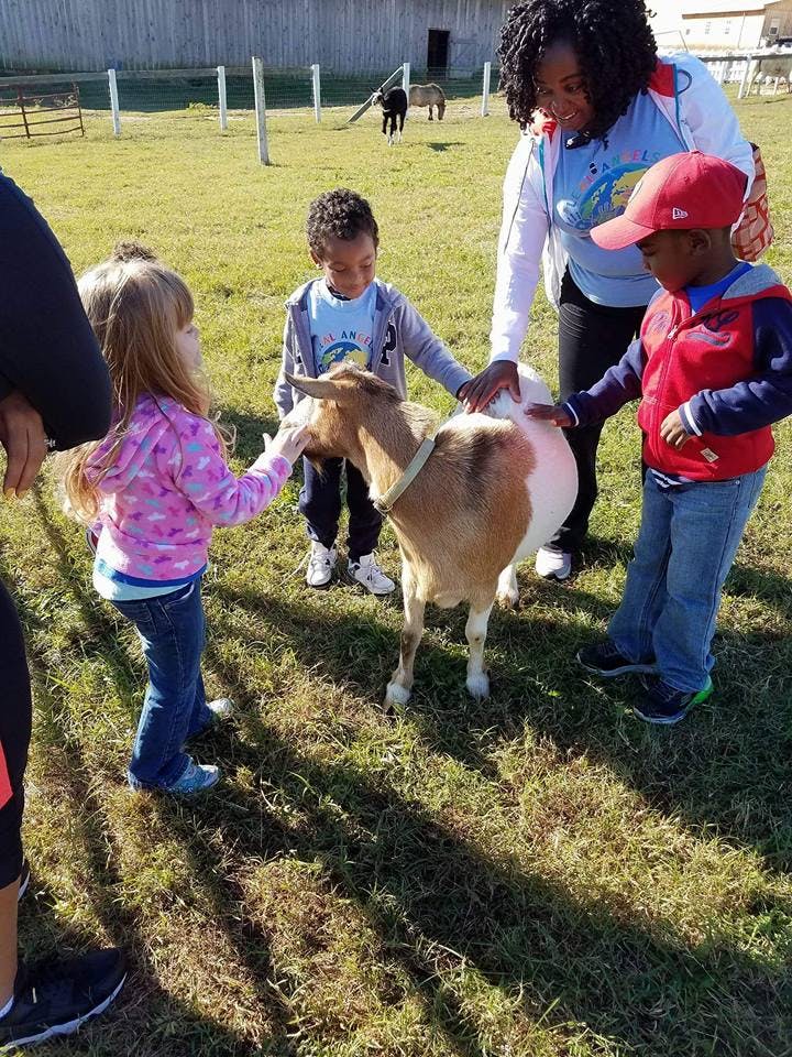 Children and an adult petting a goat in a grassy field