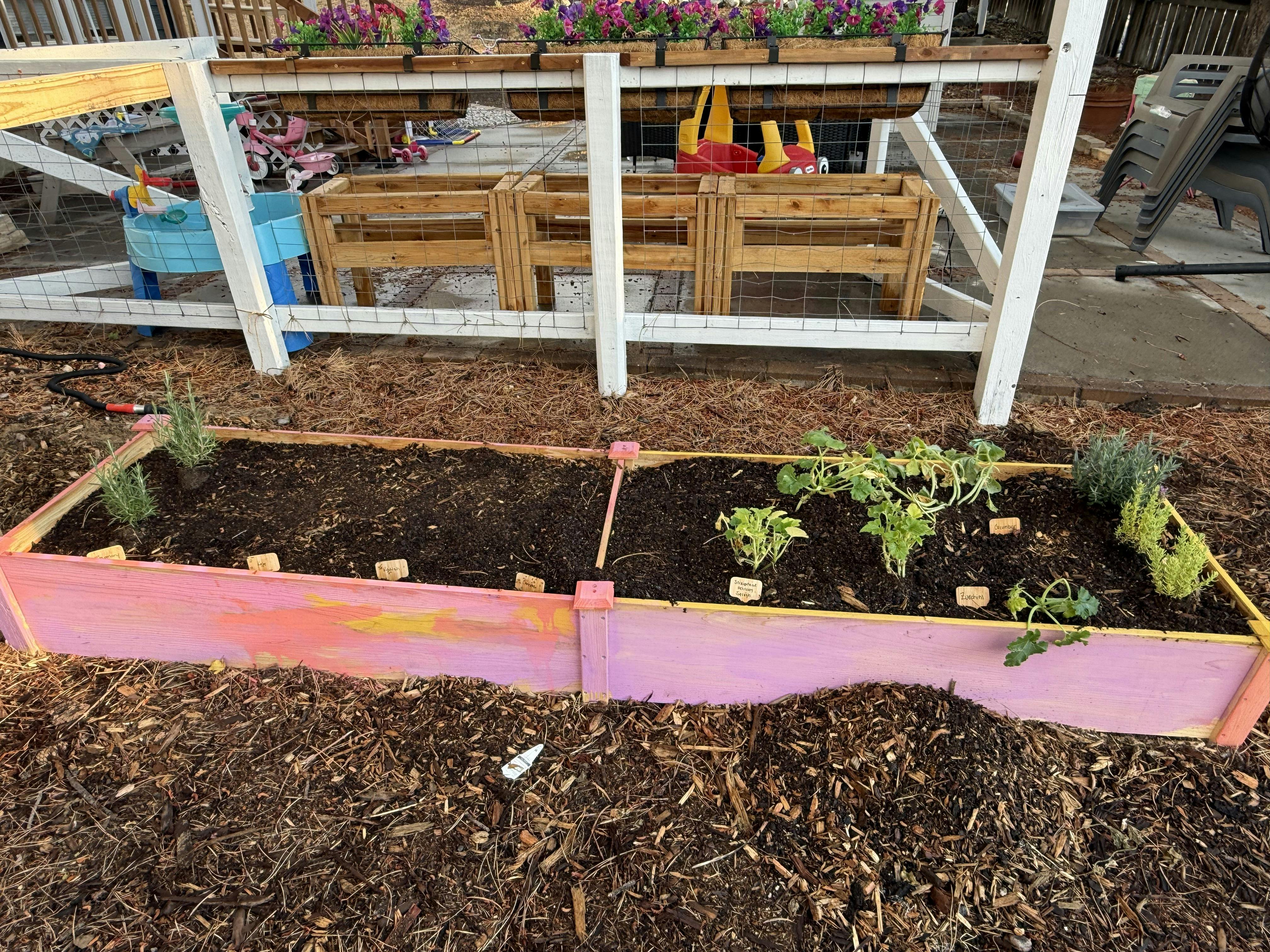 Raised wooden garden bed with small plants and labels in a yard