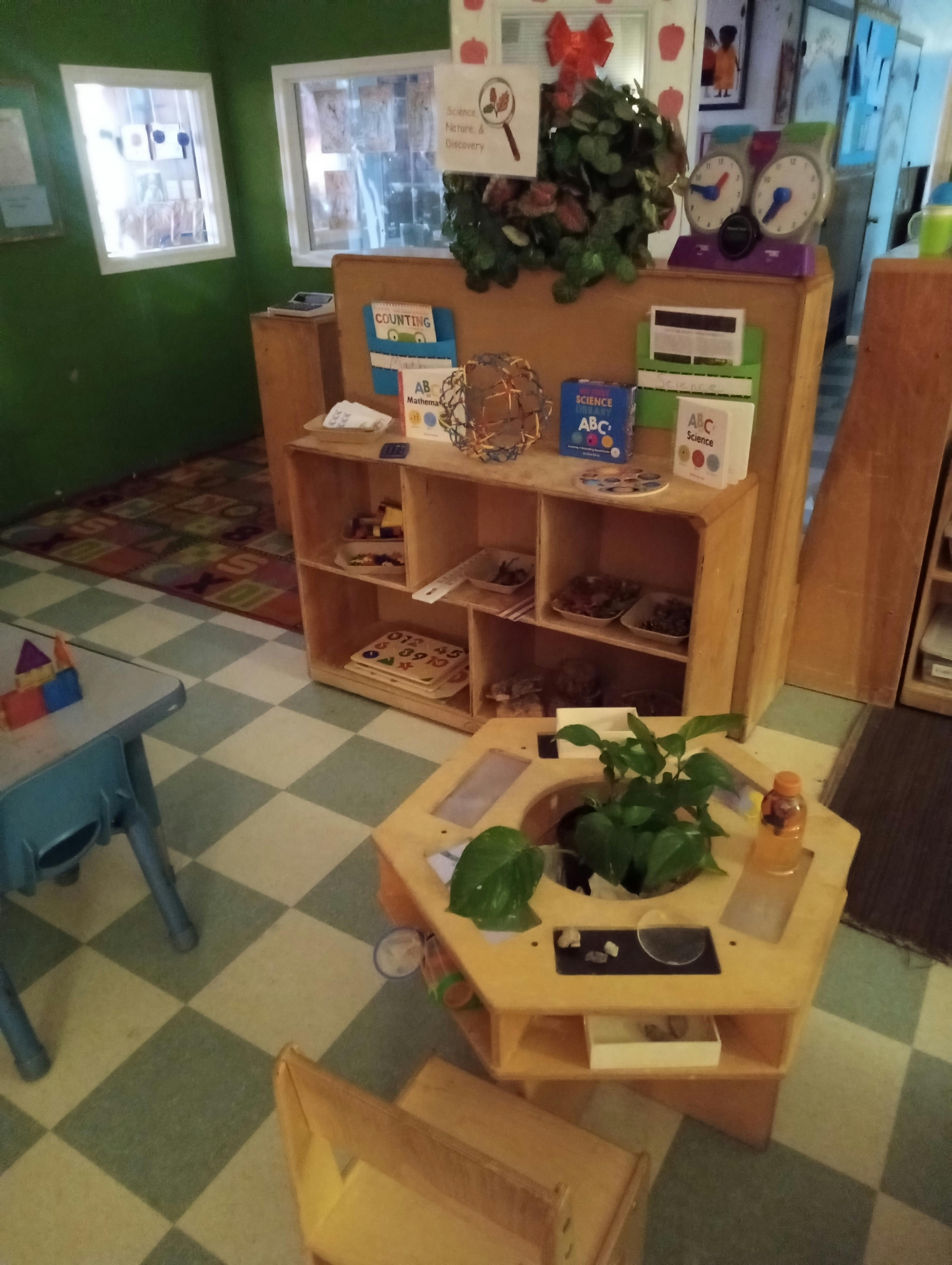 Classroom with wooden shelves, plants, learning materials, and checkerboard floor