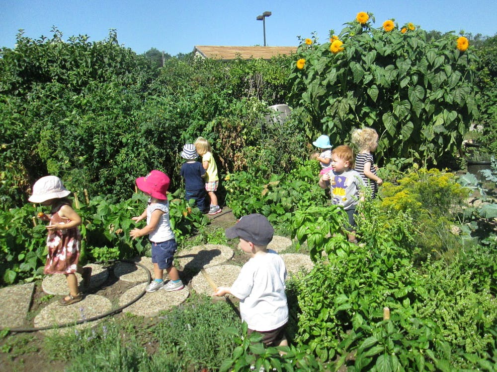 Children walking on a path through a garden