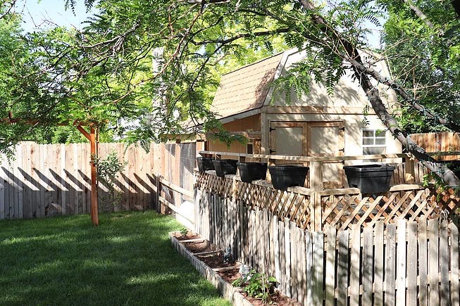 Backyard with a wooden fence, shed, and green grass