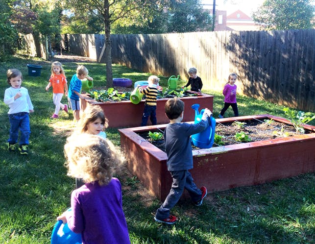 Children watering plants in raised garden beds