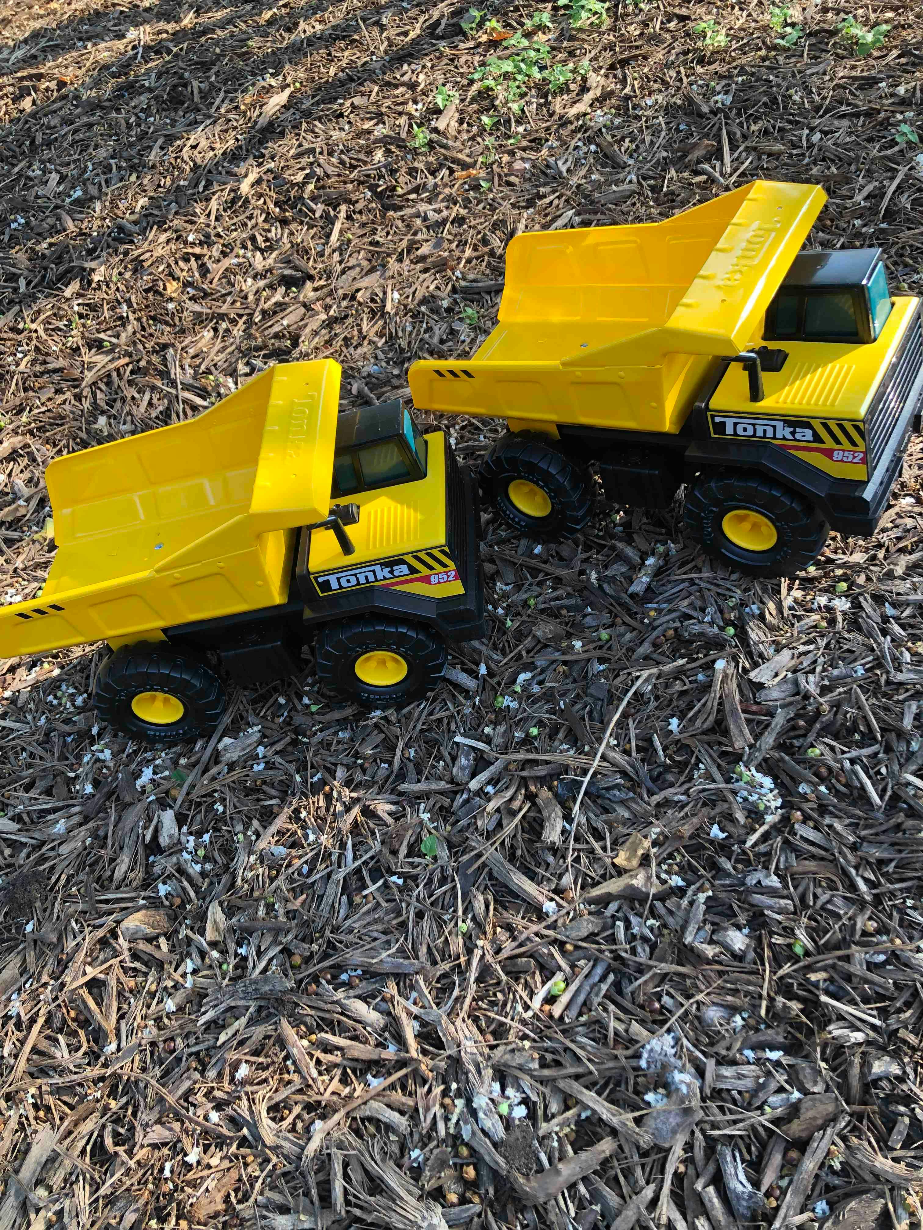 Two yellow toy dump trucks on wood chips