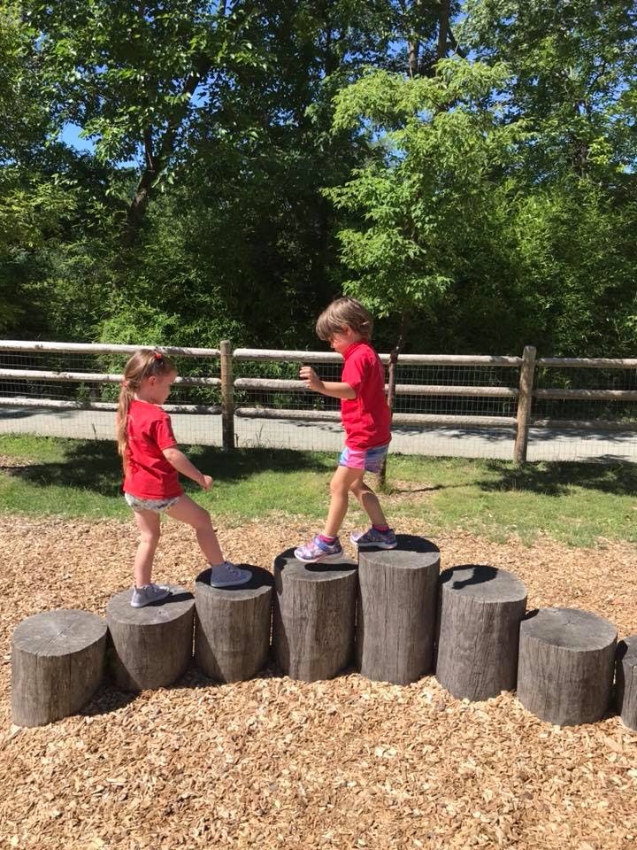 Two children walking on tree stumps