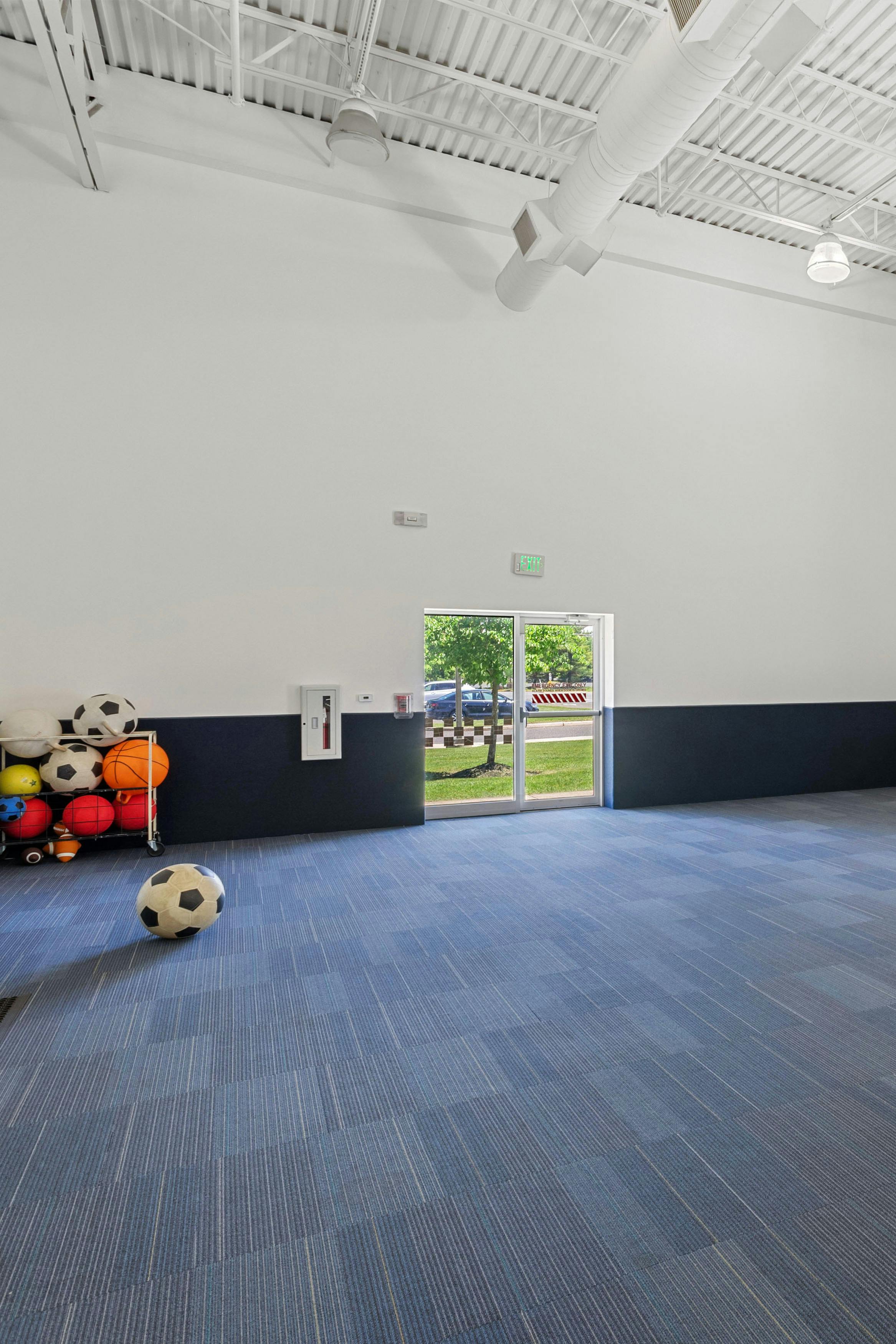Indoor play area with blue carpet, a rack of sports balls, and an open glass door