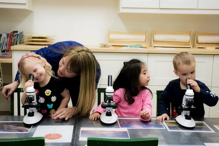 Adult and children looking into microscopes in a classroom