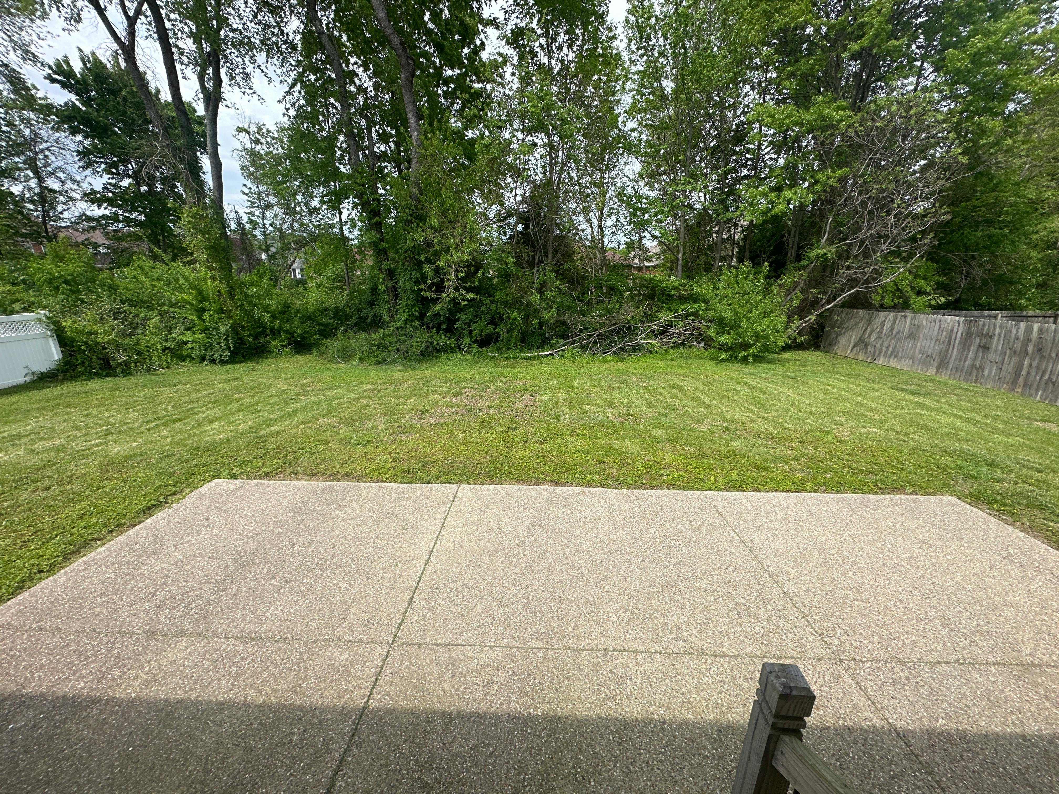 Concrete patio and green lawn with trees in the background