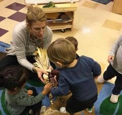 Adult and children looking at corn stalks