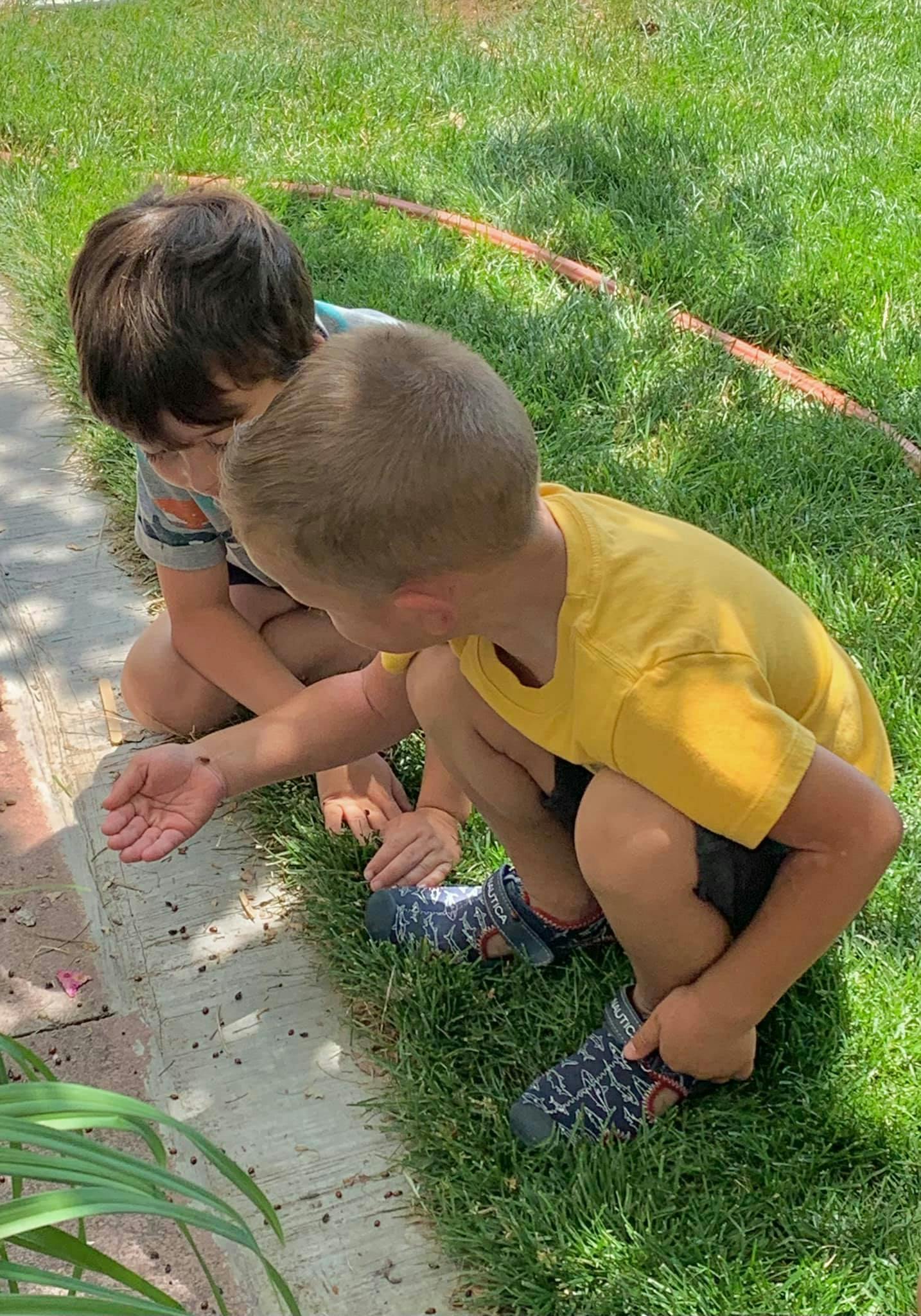 Two children crouching on grass looking at something on the ground