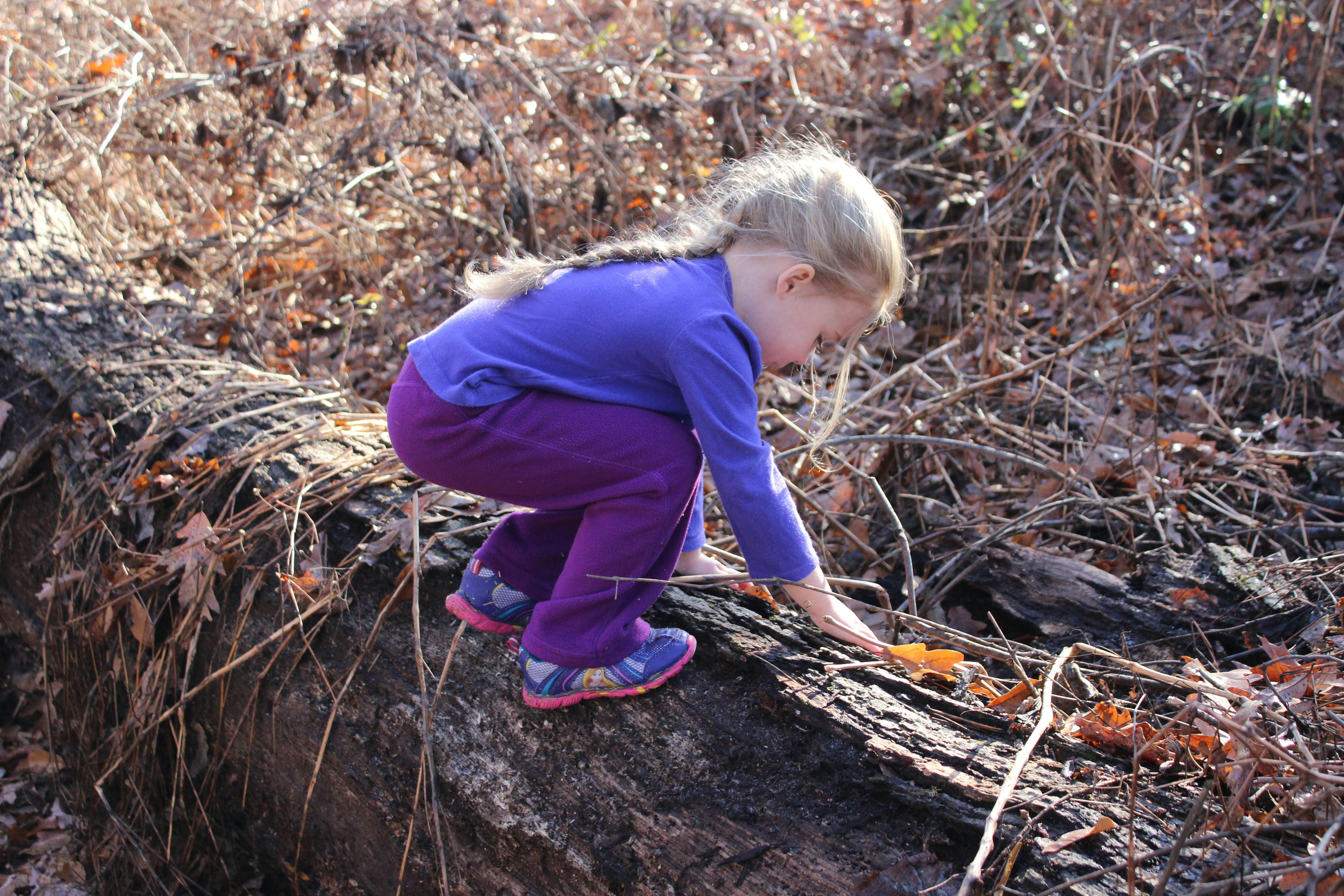Child crouching on a log, touching a leaf
