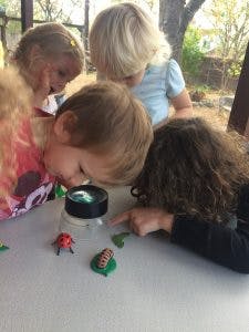 Children looking at insects in a jar