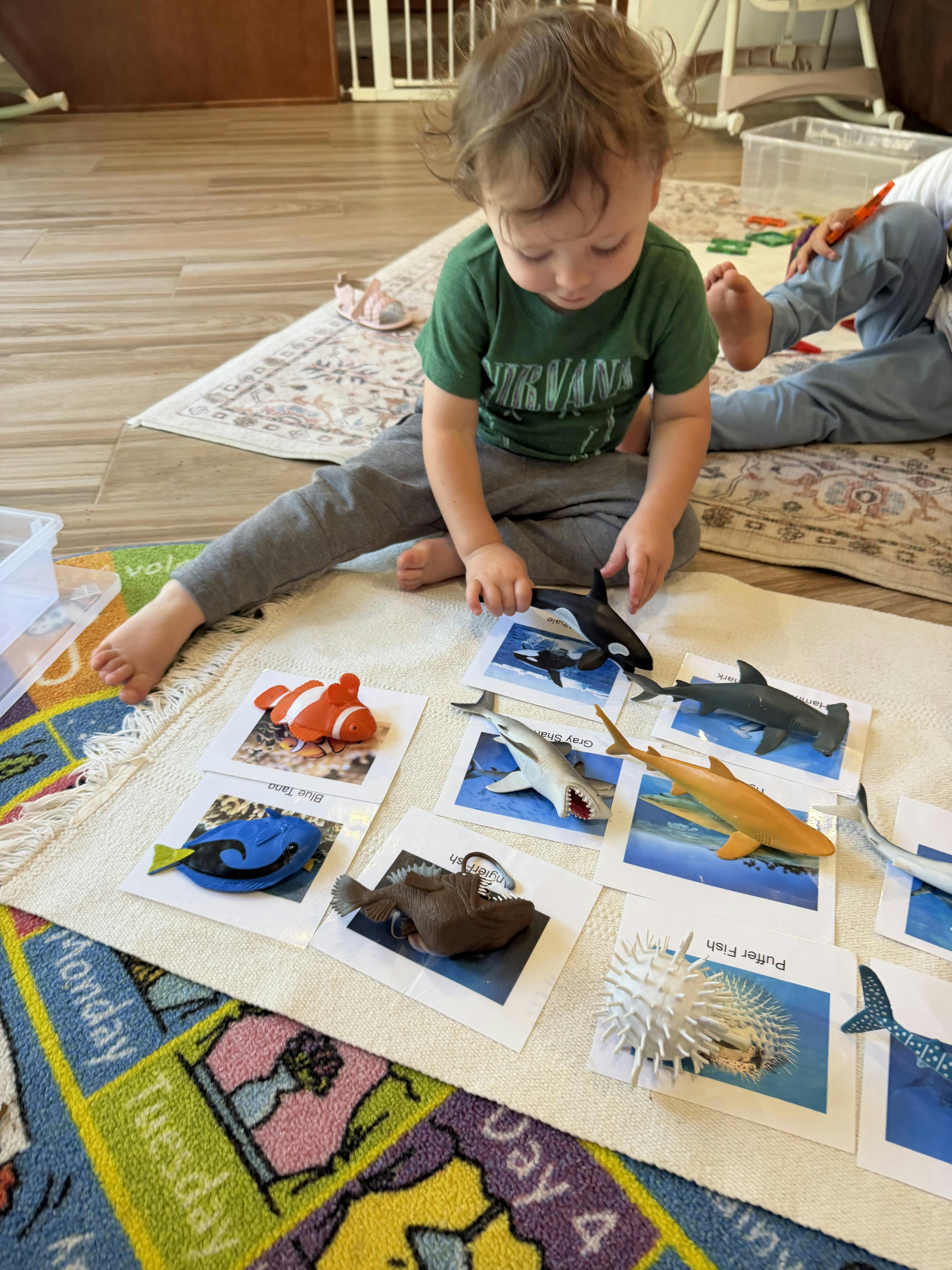 Child sitting on a rug and playing with plastic toy sea animals
