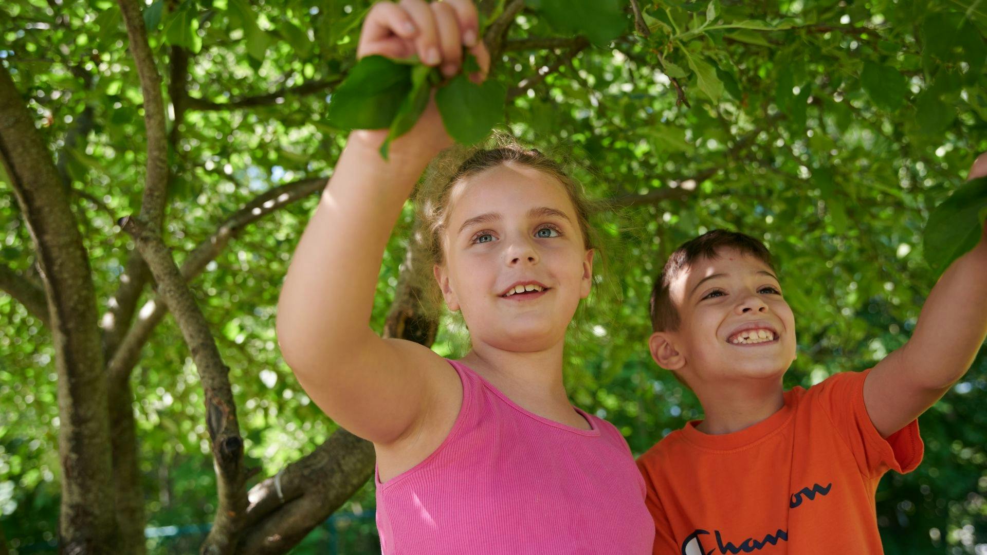 Child reaching up and holding green leaves next to another child