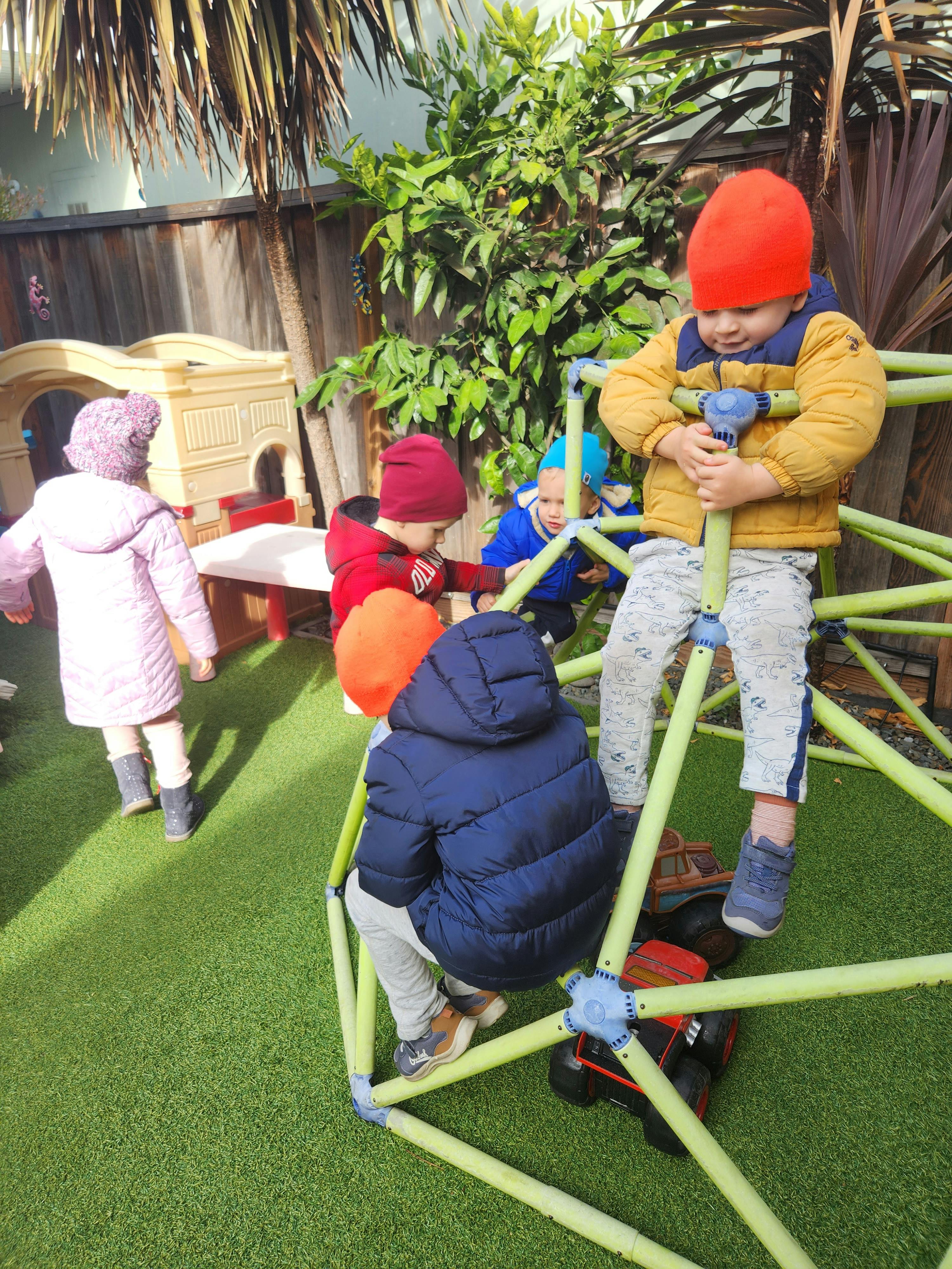 Children playing on a climbing dome in a yard