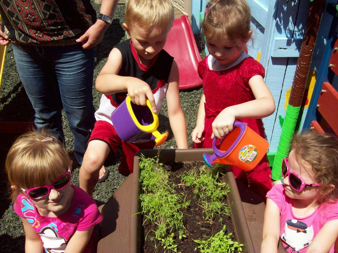 Children watering plants in a garden bed with small watering cans