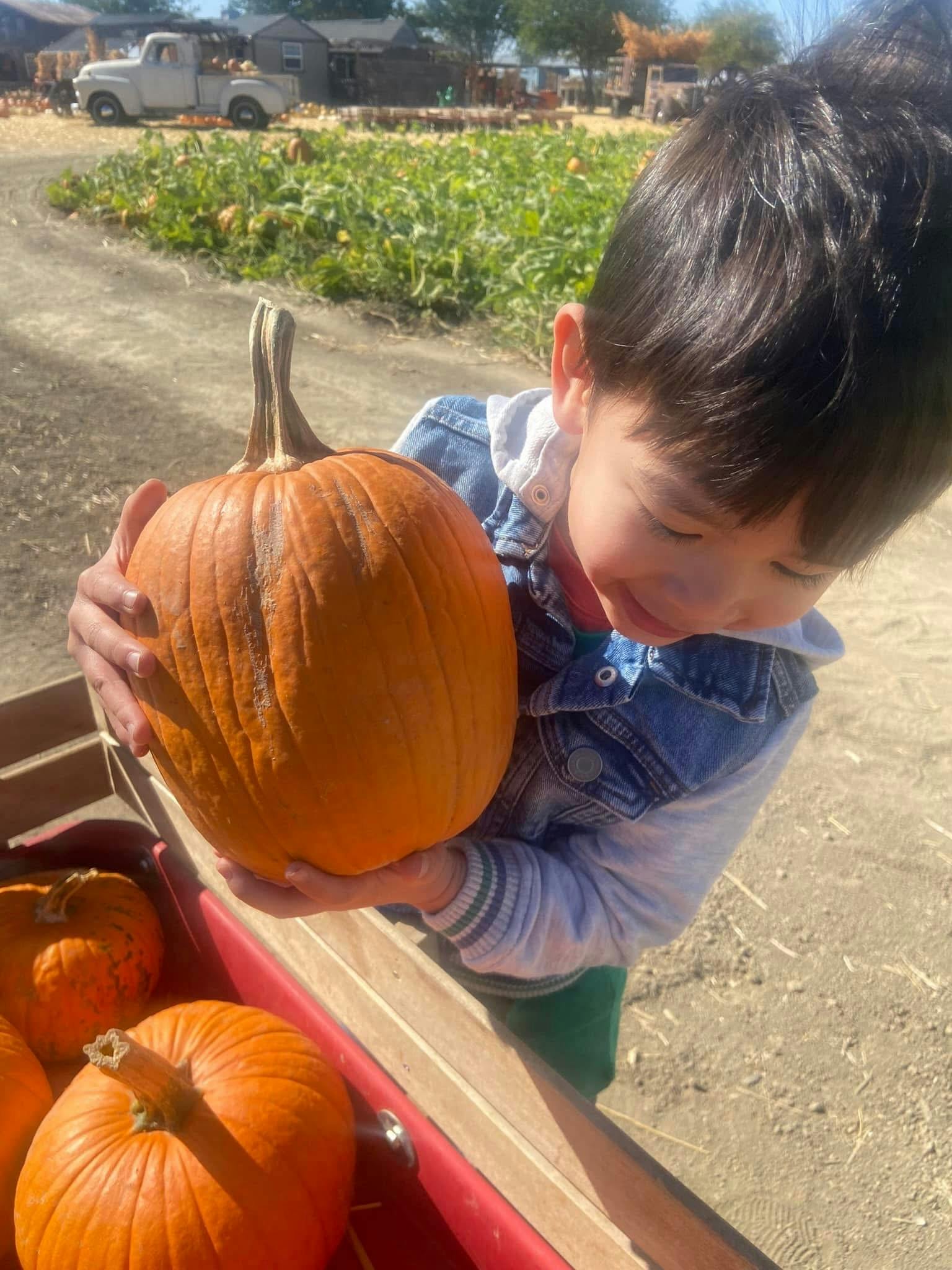 Child holding a pumpkin over a wagon full wagon at a pumpkin patch