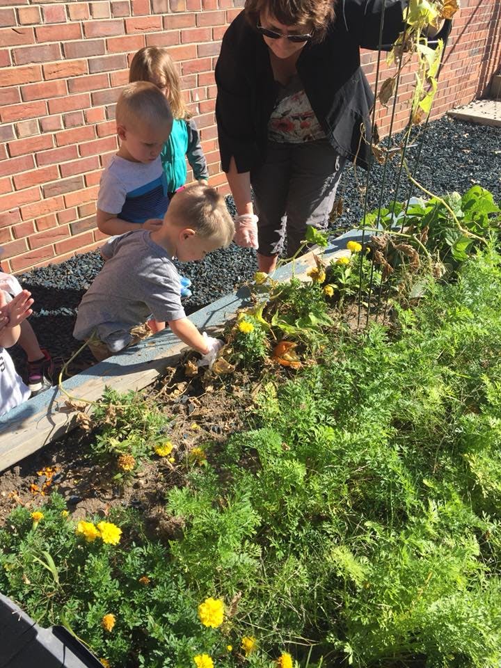Adult and children gardening in a raised bed