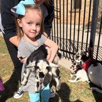 Child holding two small goats