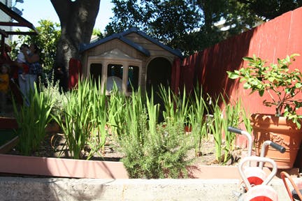 Playhouse behind a garden bed with green plants