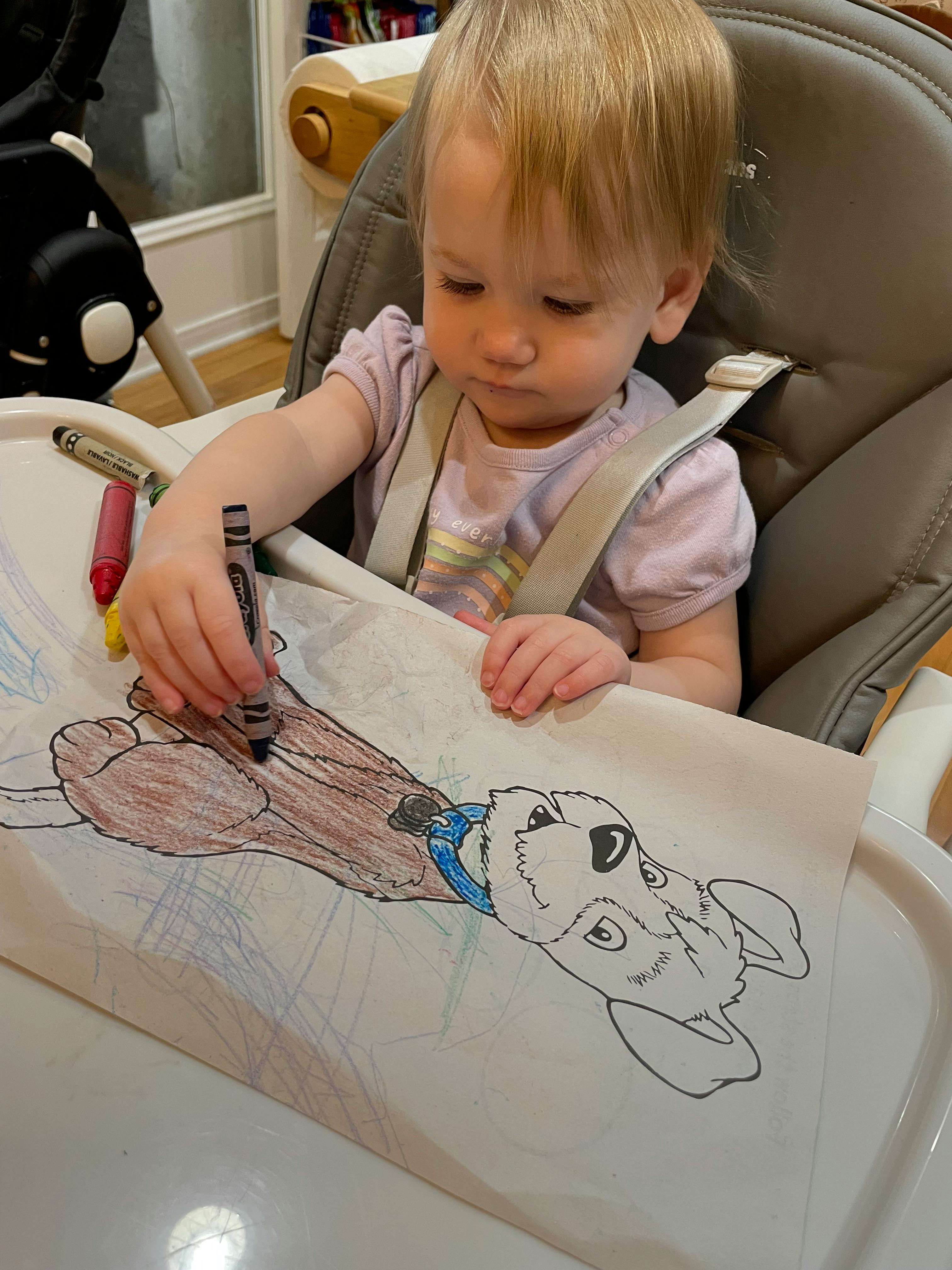 Child in a high chair coloring a dog picture