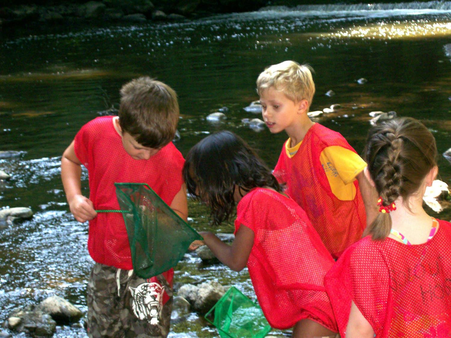 Children in red shirts with nets in a stream