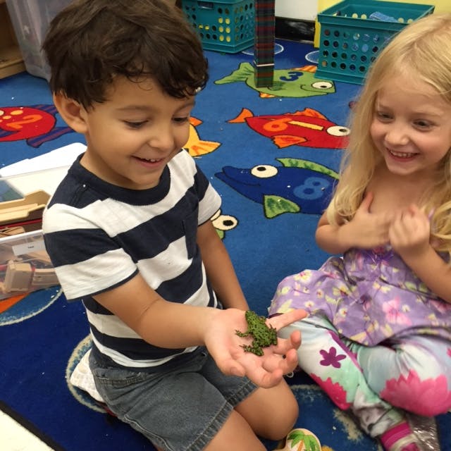 Child holding a small frog while another child watches