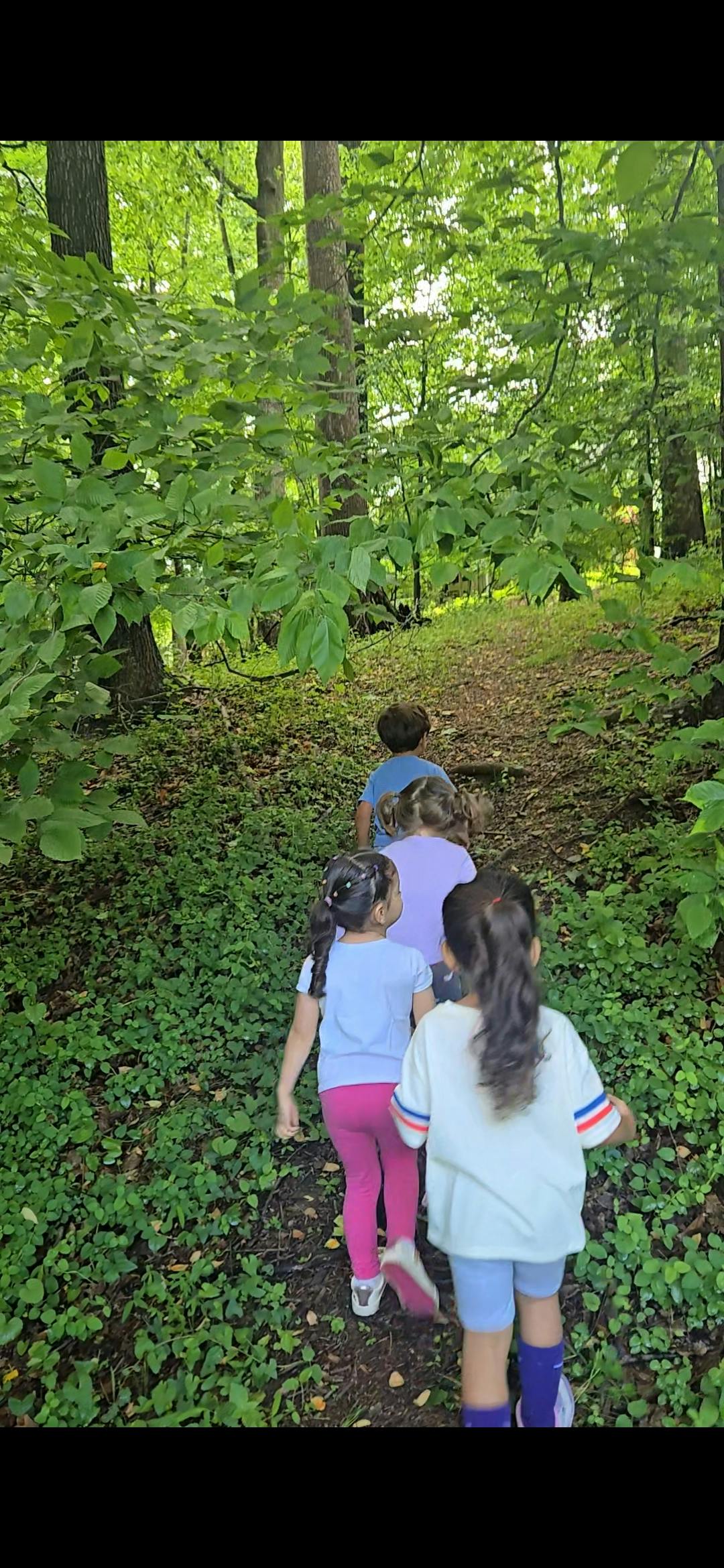 Children walking on a path through a forest