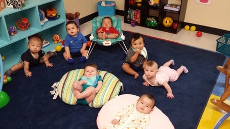 Multiple babies in a room, some sitting, some crawling
