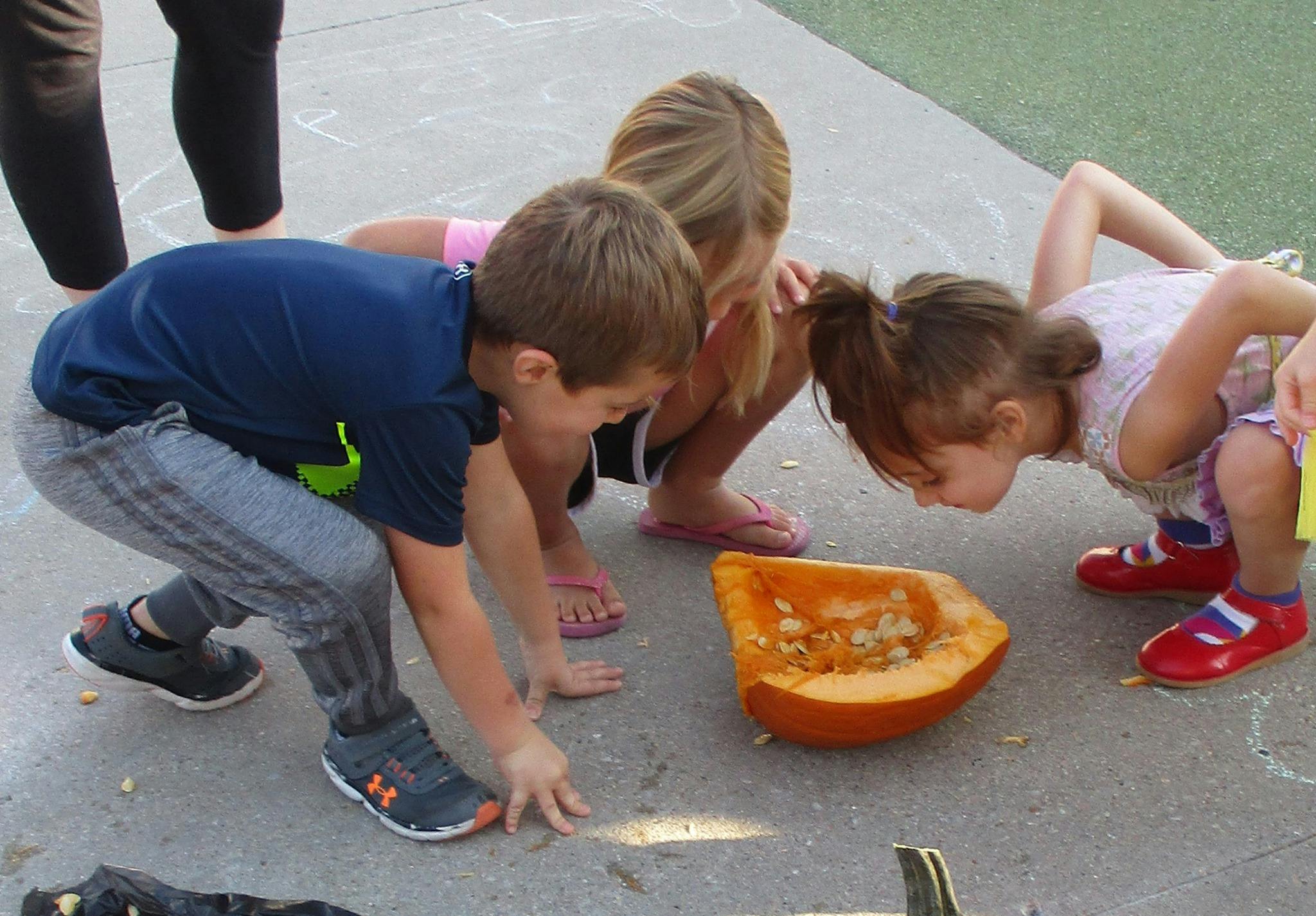 Three children crouching around a pumpkin half with seeds