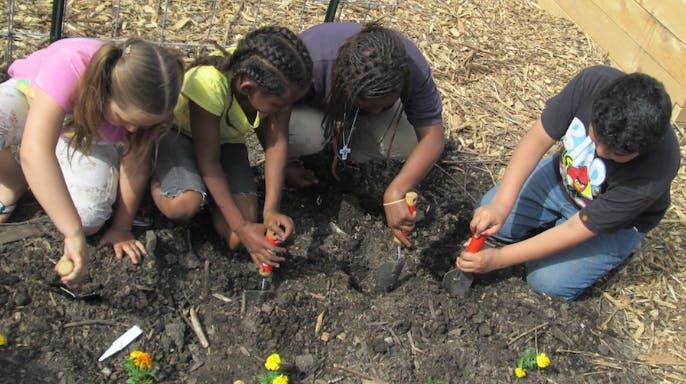 Four children planting in soil