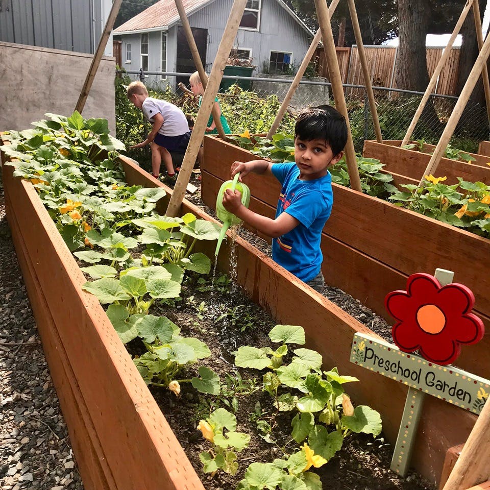 Child watering plants in a raised garden bed with a sign that reads "Preschool Garden"