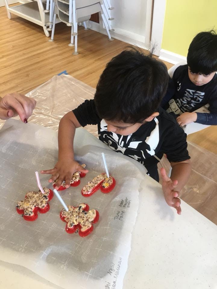 Child making bird feeders with cookie cutters and seeds