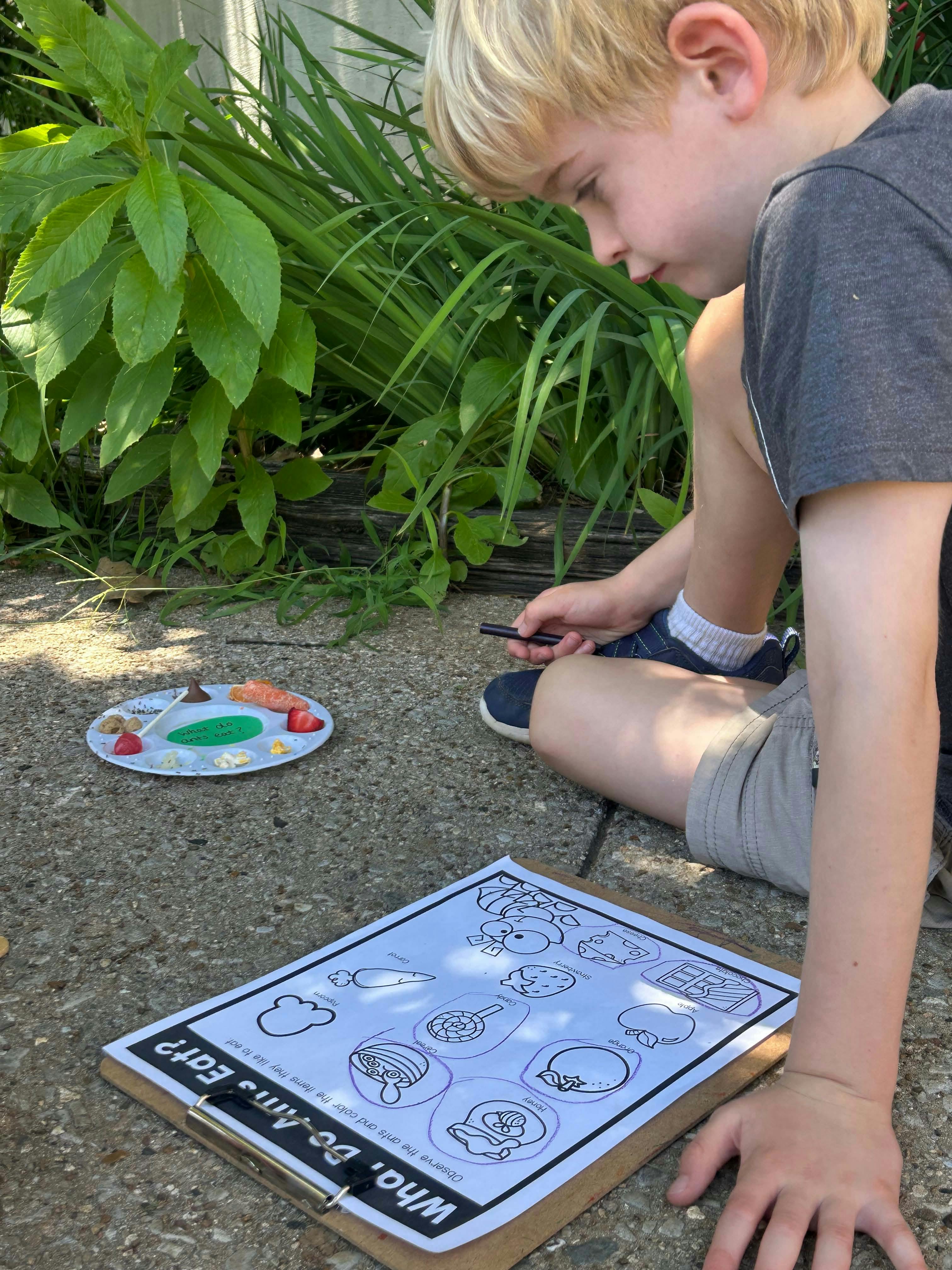 Child observing food samples for ants with a worksheet on a clipboard