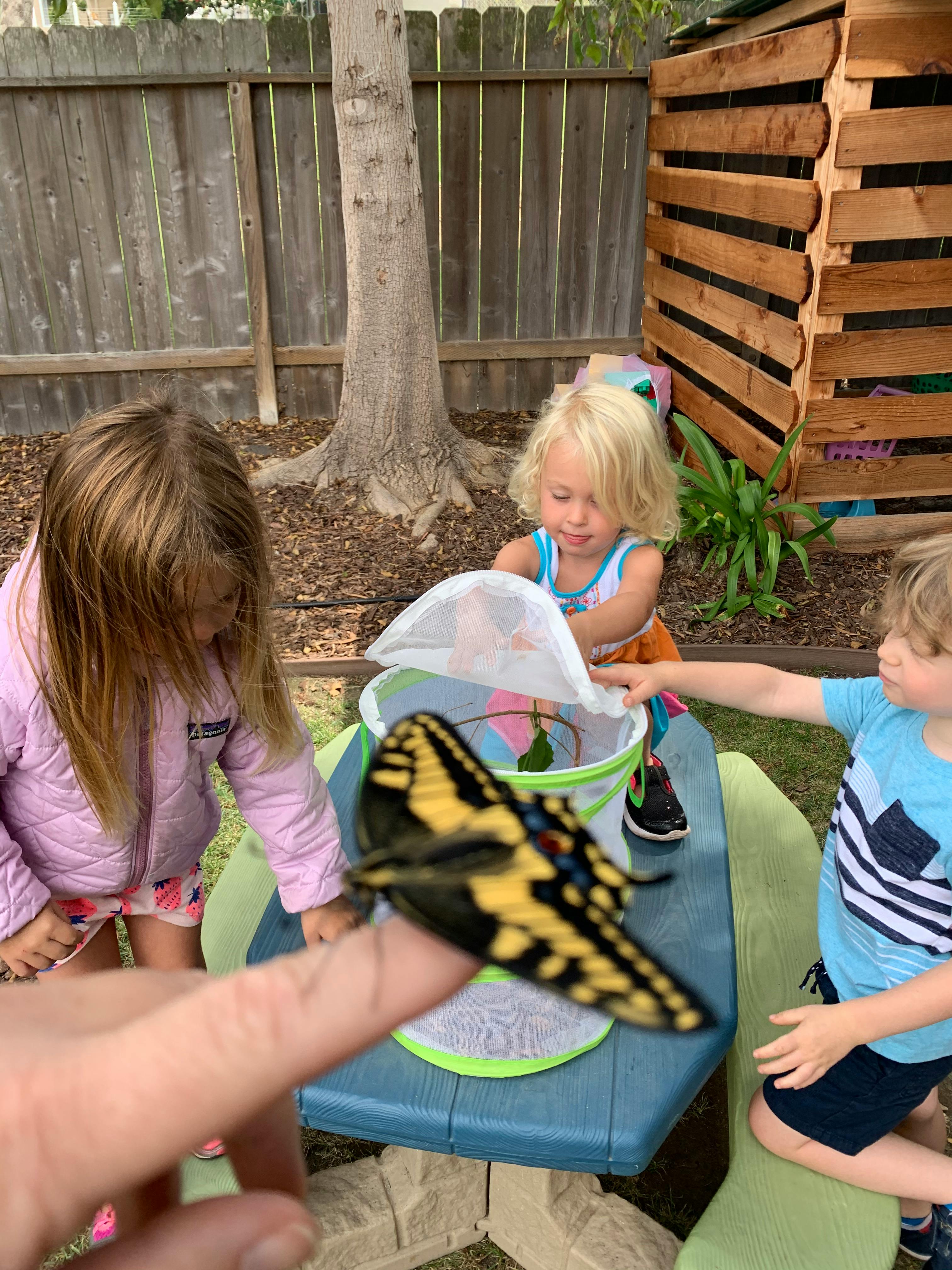 Children observing a butterfly on a person's finger