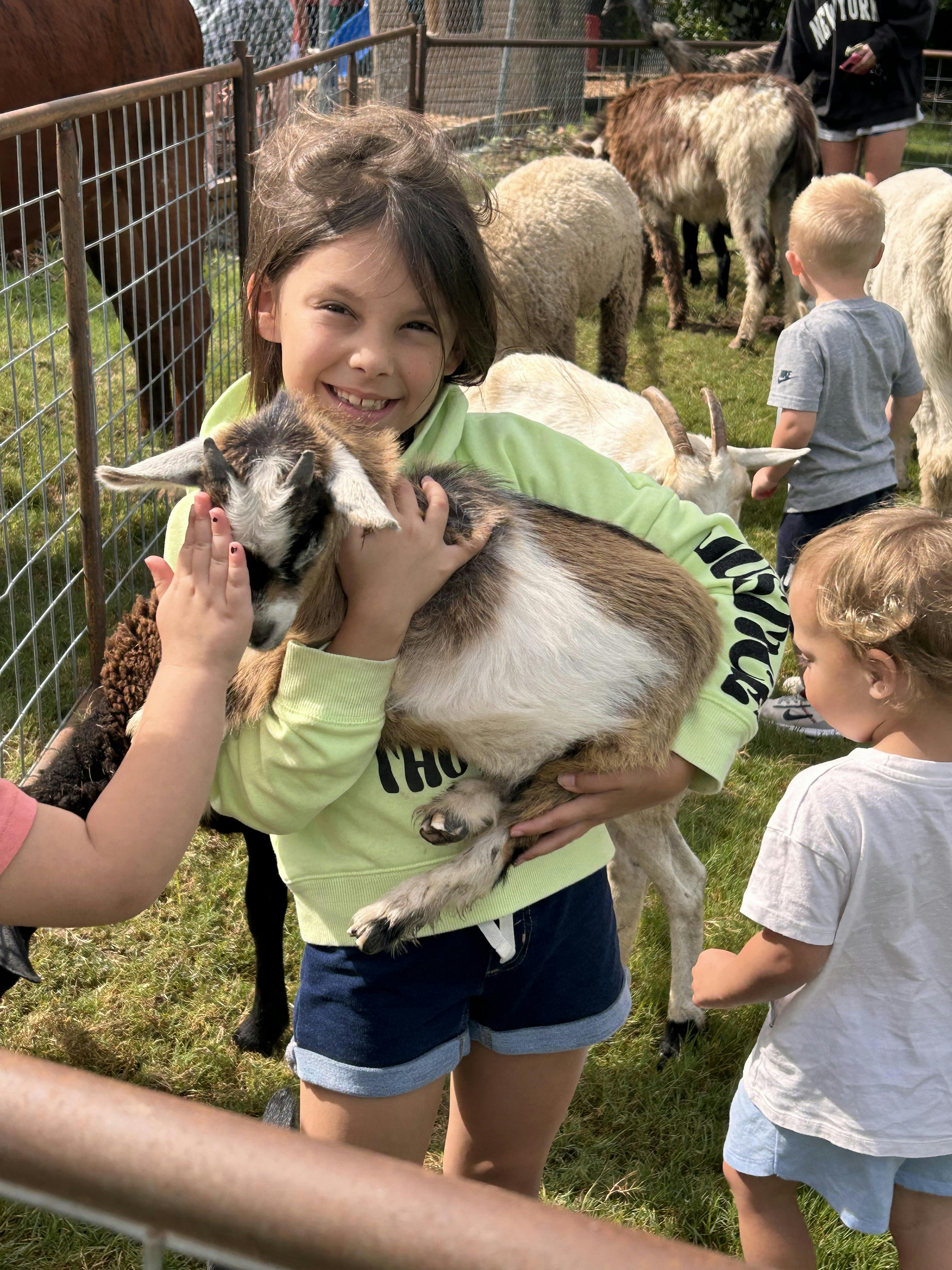 Child holding a small goat in a petting zoo enclosure