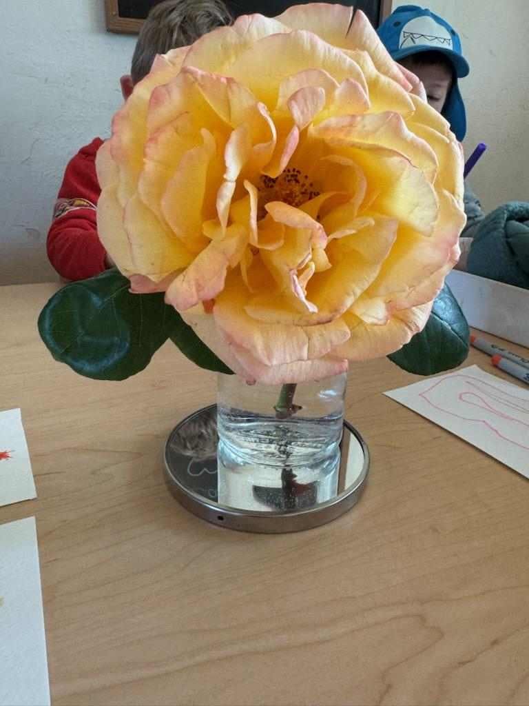 Large yellow rose in a small vase on a table with children in the background