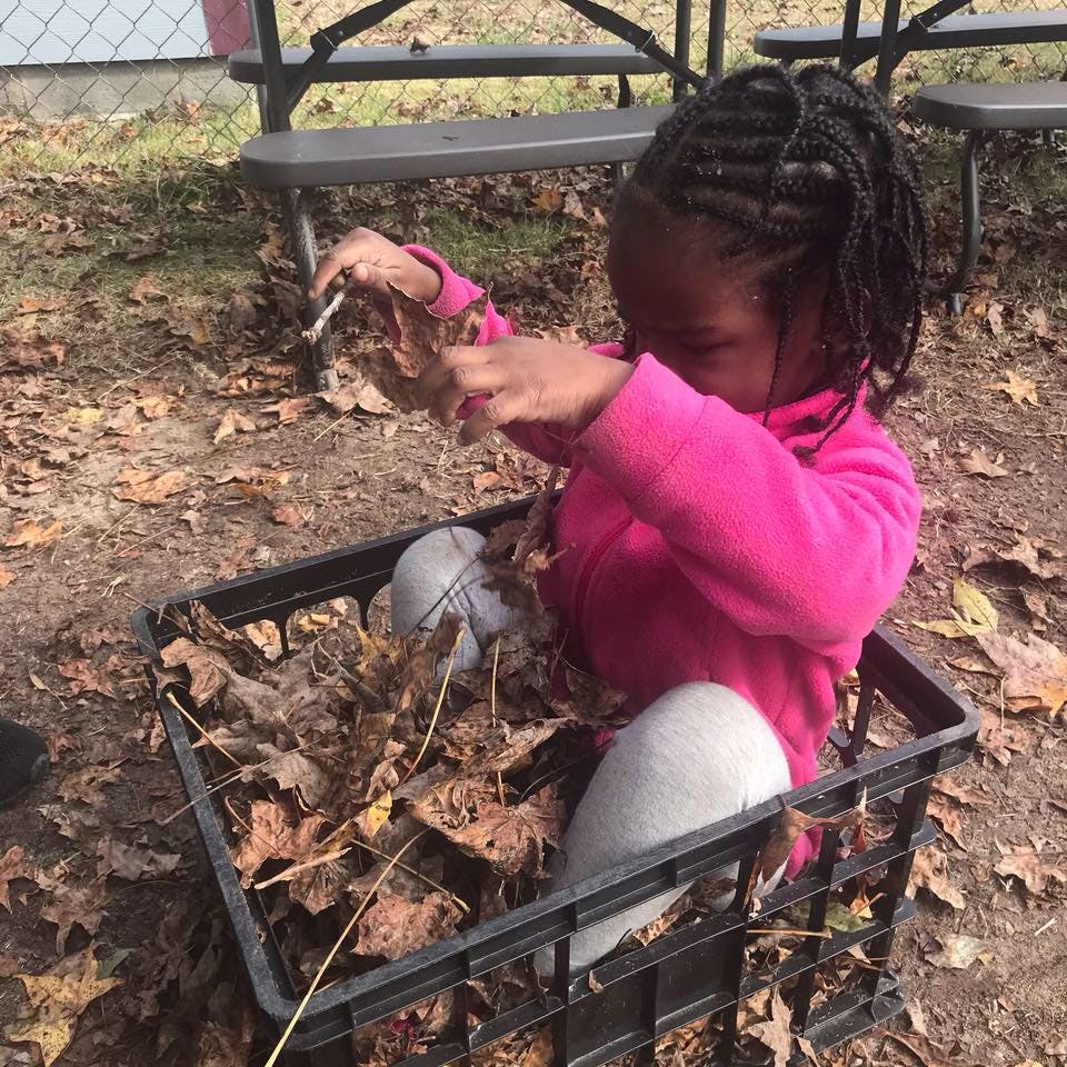 Child sitting in a crate filled with leaves