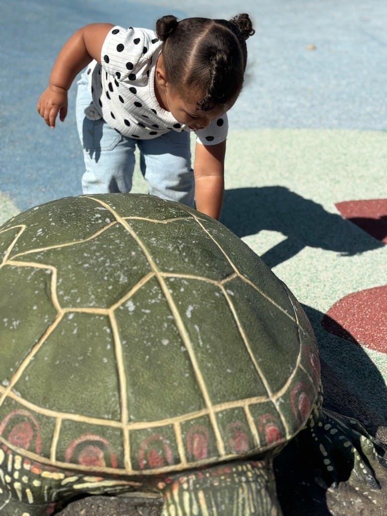 Child in pigtails looking down at a turtle sculpture