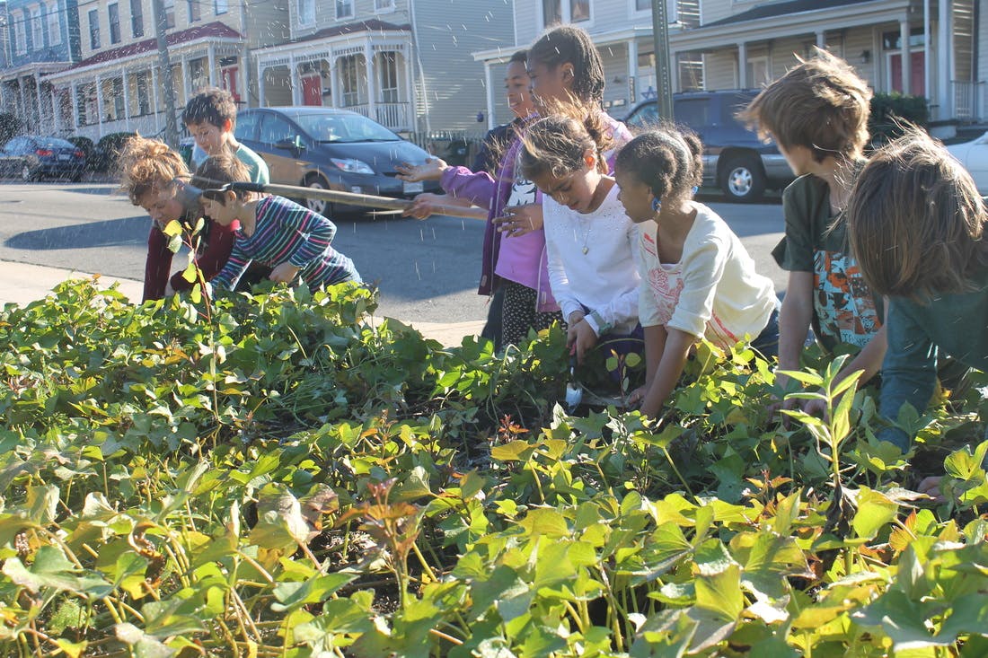 Adults and children tending to plants in a garden bed