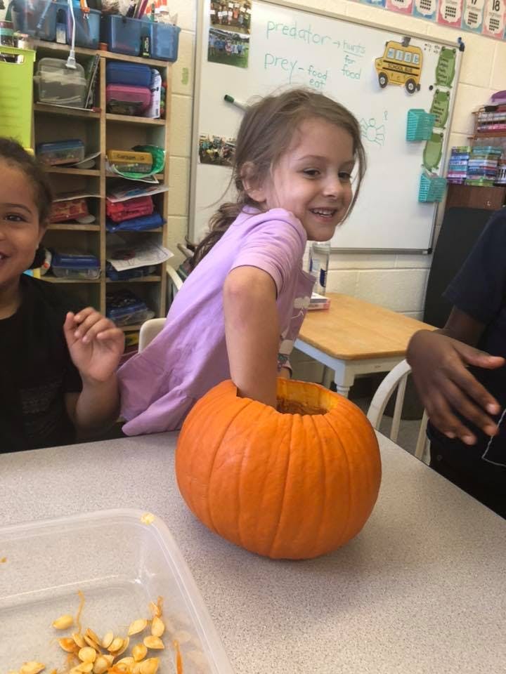 Child with hand inside a pumpkin, another child nearby