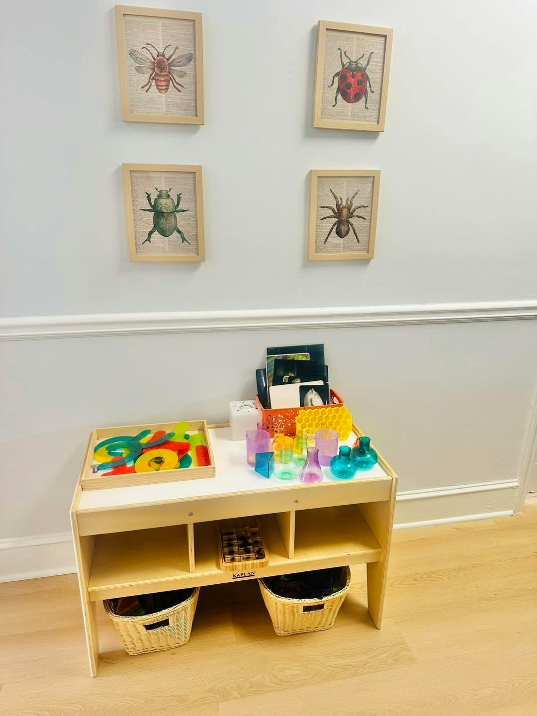 A wooden table with science learning materials and framed insect art on the wall