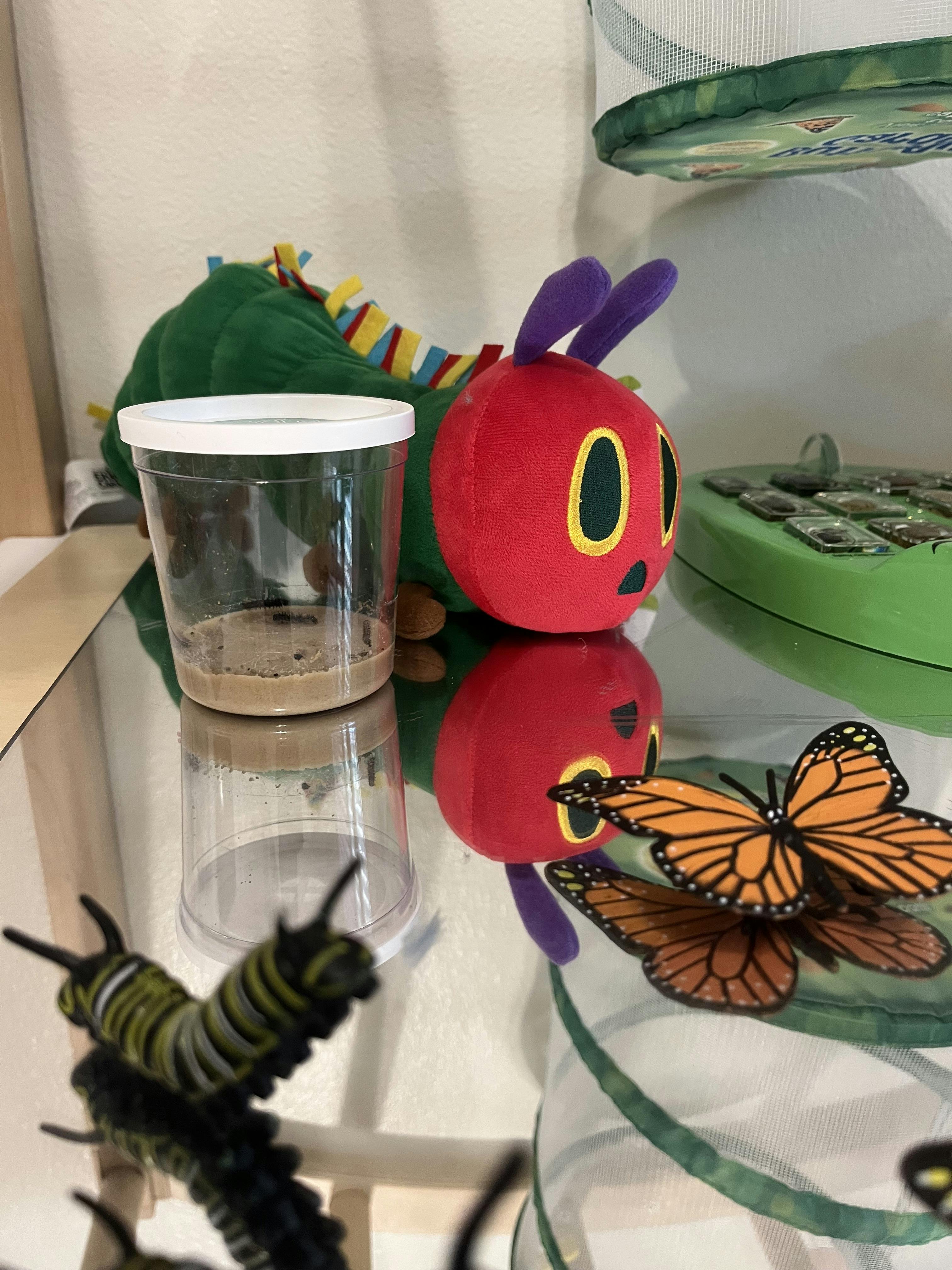 Plastic cup containing insects next to a caterpillar toy and butterfly figures