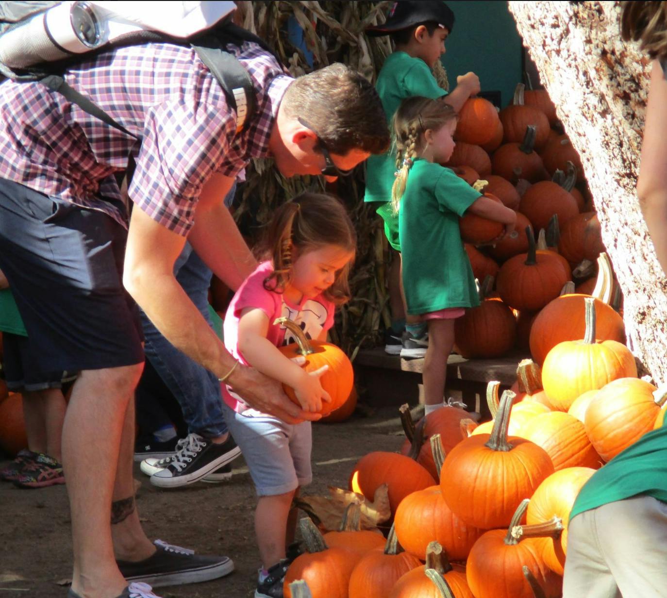 Person helping a child hold a small pumpkin at a pumpkin patch