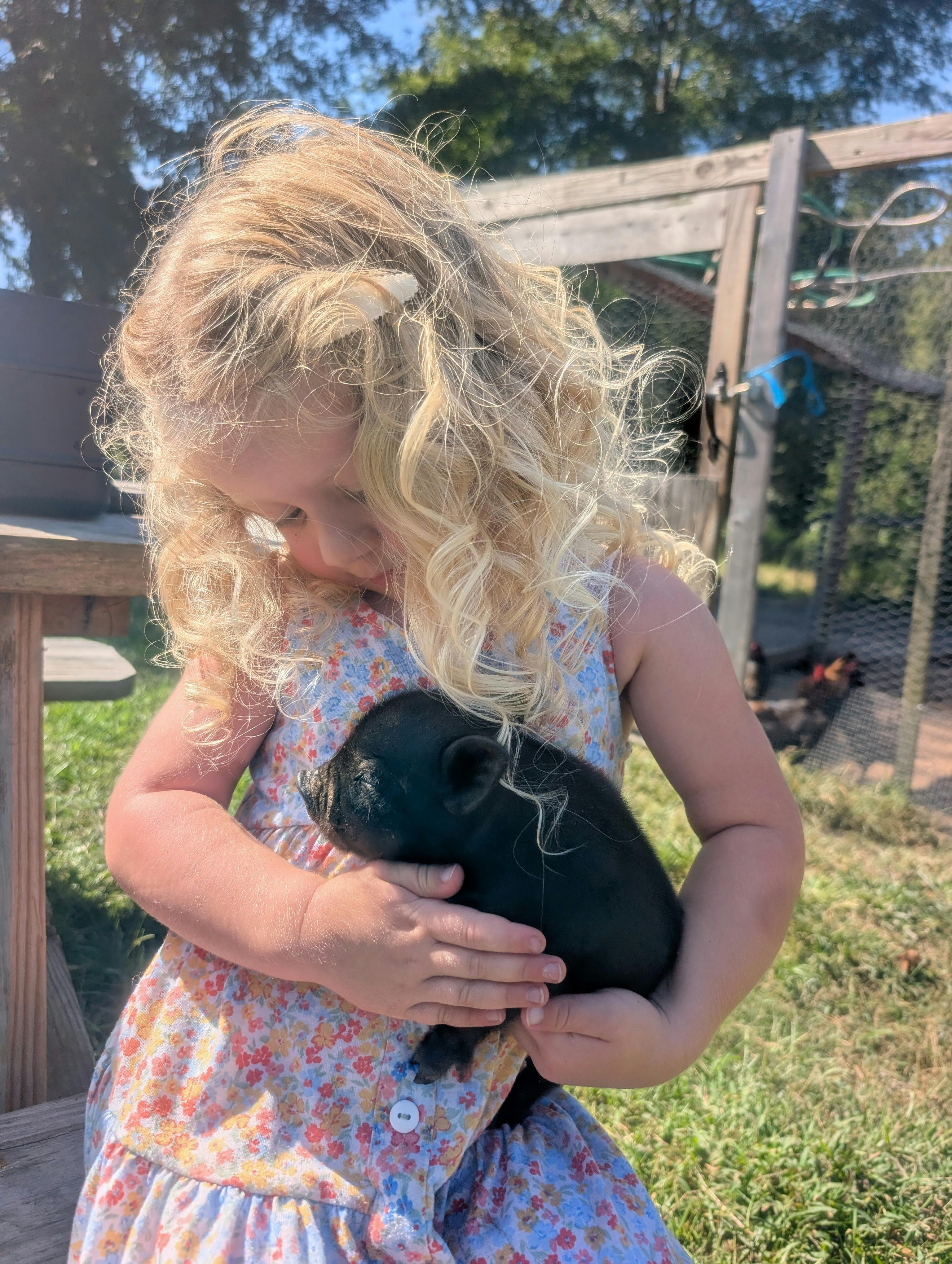 Child holding a small black piglet outdoors