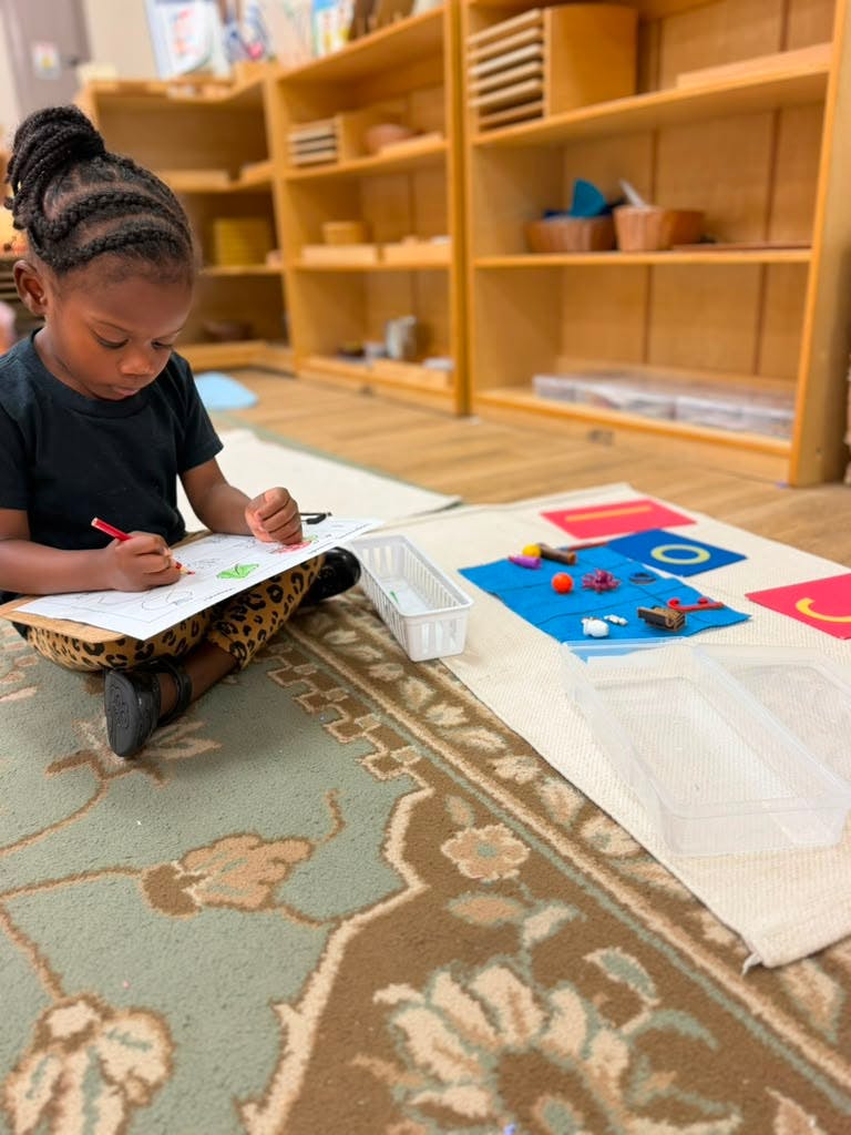Child sitting on a rug coloring on a sheet with learning materials nearby