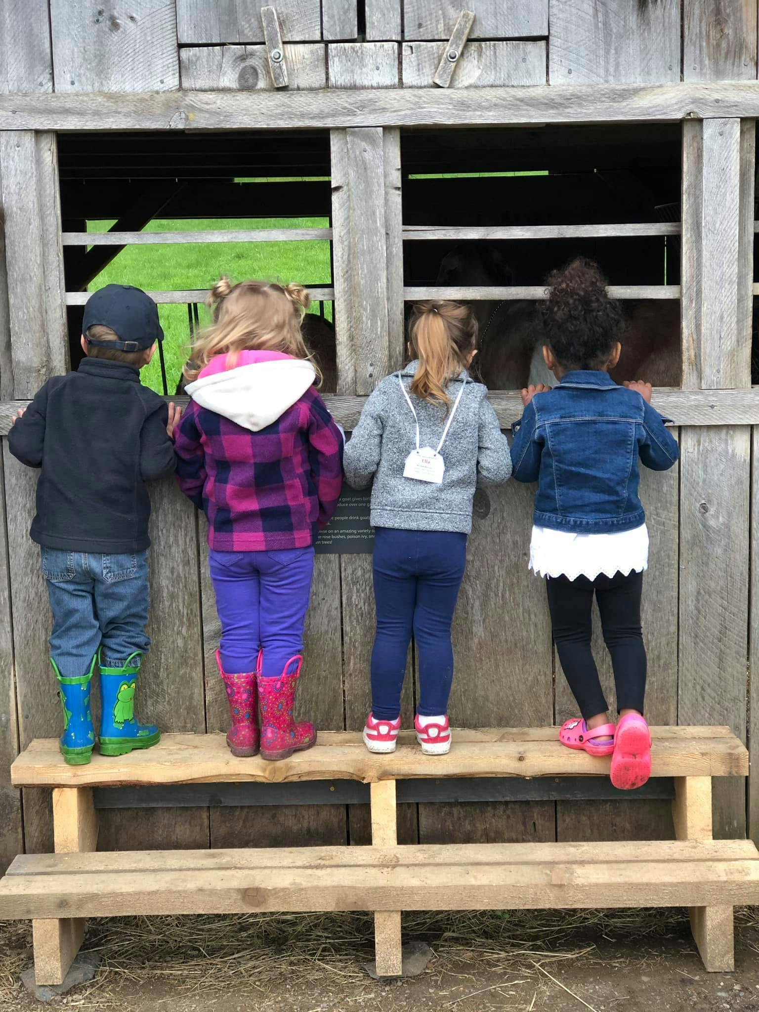 Four children looking into a barn window from a wooden bench