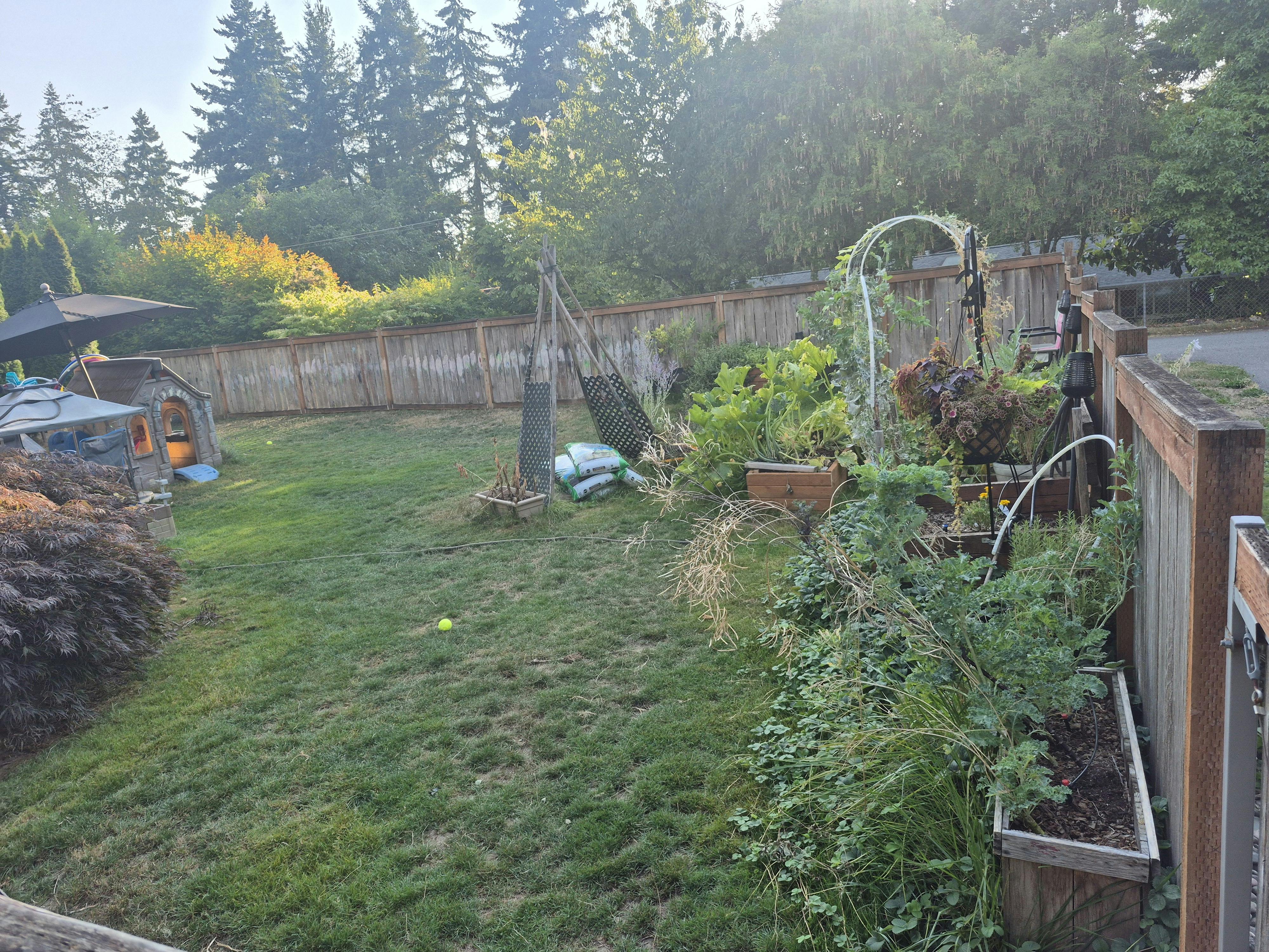 Backyard with a garden bed along a fence and a grassy area