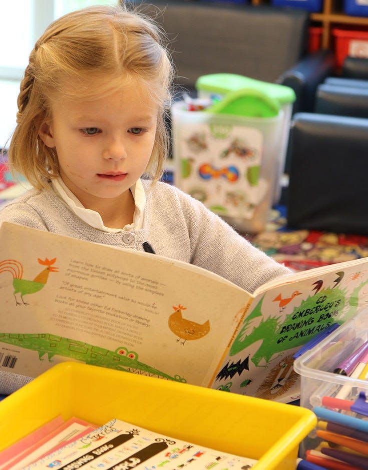 Child reading a book with animal illustrations
