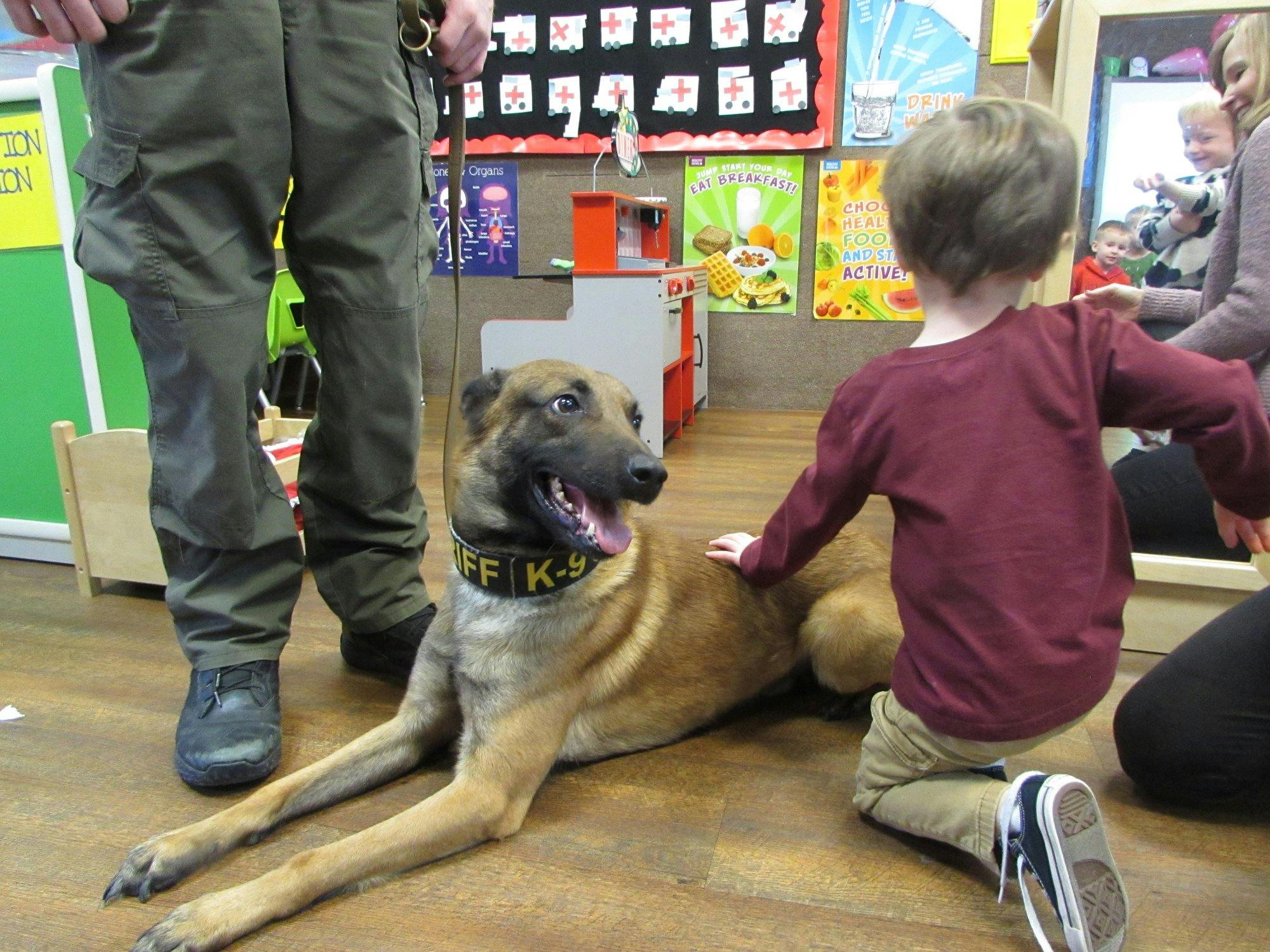 Dog with K-9 collar lying on floor next to person and child