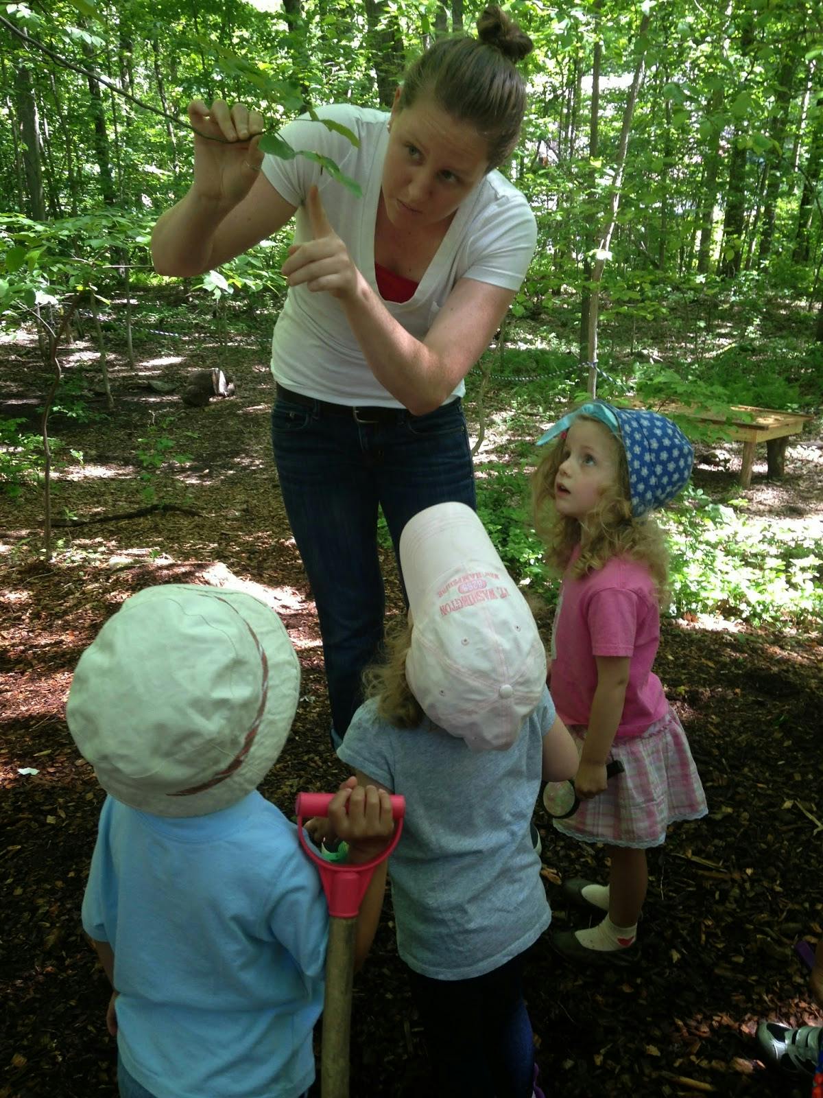 Person showing a leaf to three children in a wooded area